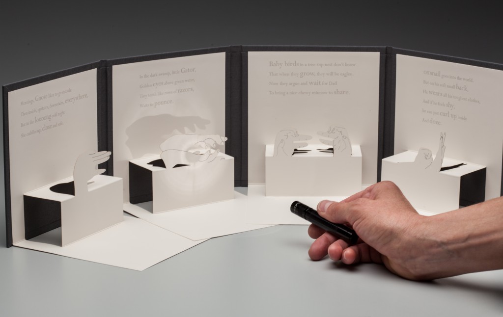 The Pop-Up Hand Shadow Book, with poems by Nora Robertson