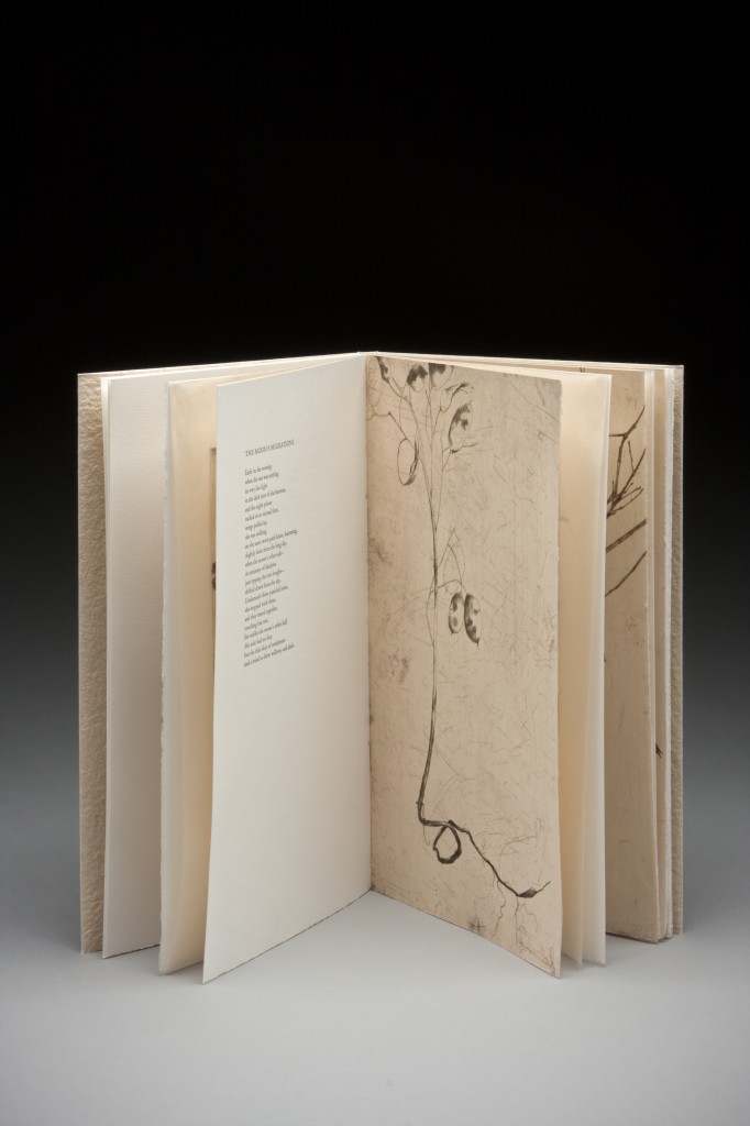 Poems by Sarah Lantz. Chine colle etchings by Sarah Horowitz. Remembrance by Eleanor Wilner. 2010 15 x 9 inches with slipcase, edition of 25.