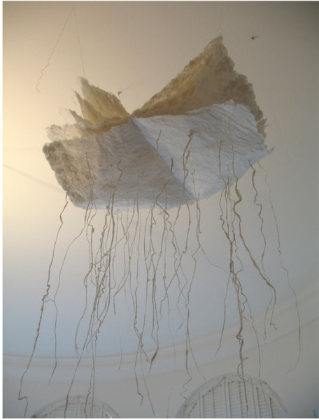 Cloud Root Paper by Mary Ellen Long