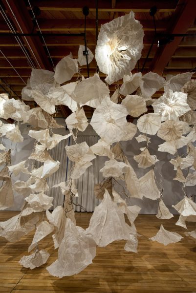 Jocelyn Chateauvert, "Paper in Bloom", Cornell College, Mt. Vernon, Iowa January 2014 through March 2014.