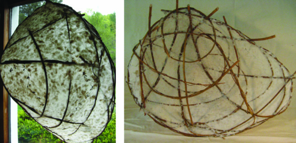 © June Tyler, Left: Home Again, 31” x 24” x 14”, willow and kozo fibers